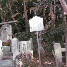 筆がのってます