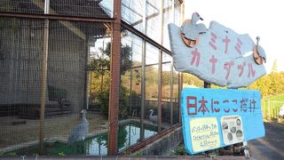 日本にここだけ