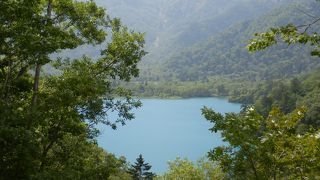 森に囲まれた神秘の湖