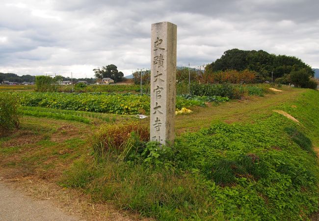 畑の中に石碑が