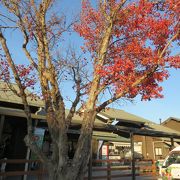 阿蘇五岳望む道の駅