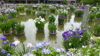 太宰府天満宮散策