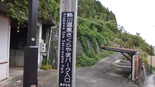 桜の季節はよさそう