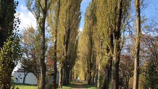 名所のようです