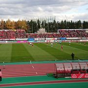 サッカー観戦