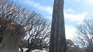 太宰府天満宮散策