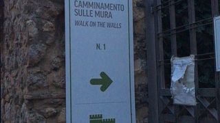 ツアーに組まれていました