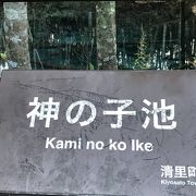 神の子池 クチコミ アクセス 営業時間 小清水 清里 フォートラベル 神の子池 クチコミ アクセス 営業時間 小清水 清里 フォートラベル