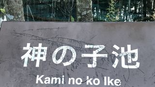 池のブルーが綺麗！