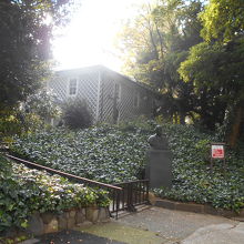 周囲は緑の蔦に囲われ、現在は、福澤諭吉像が見張っている。