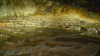 見事な自然の力