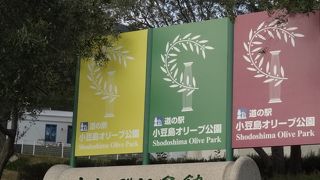 オリーブに満たされる空間です。