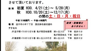 鎌倉の穴場。春と秋の土日月祝のみ公開。