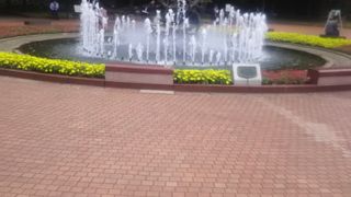 夏の時期などは大変風が吹くと水しぶきで気持ちがいいです。