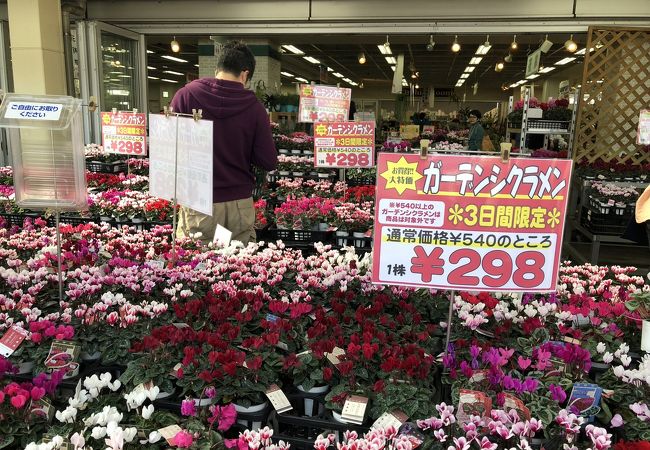 ガーデンセンター横浜 クチコミ アクセス 営業時間 東神奈川 保土ヶ谷 弘明寺 フォートラベル ガーデンセンター横浜 クチコミ アクセス 営業時間 東神奈川 保土ヶ谷 弘明寺 フォートラベル