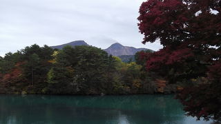 ここは堂々たる大観光地でした