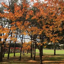 サブ競技場付近の光景