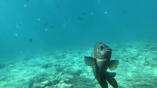 宮古島に何度も来てますが初めて行きました