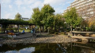 近所の人たちがたくさんやってきていました