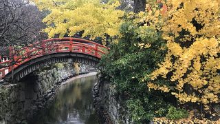 思ったより広い！