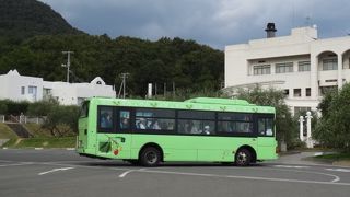 オリーブの島にふさわしいバスです。