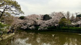 桜の季節に行きました