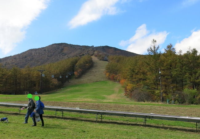 安達太良山の麓に広がる