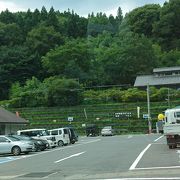 地元の食材が豊富