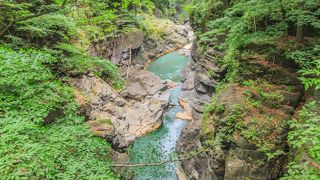 新緑の季節もすばらしいです