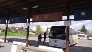 あまり大きくない