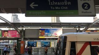 今回も散策しました。