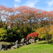 10月末には紅葉がきれいだったお庭。ウサギも見かけました。