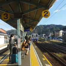 上空でとんびがずっと鳴いてました