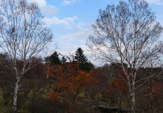 紅葉の八方ヶ原