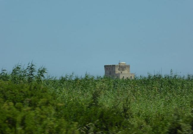 トッレ（見張りの塔）周囲は自然公園