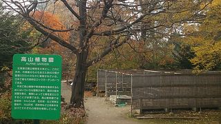 冬季は一部閉鎖