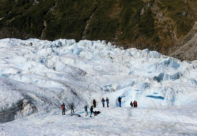 フォックス グレーシャー ガイディング