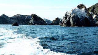 石廊崎クルーズ　