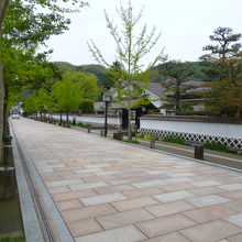 きれいなとおり、川には鯉が