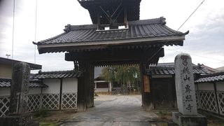 枝垂れ桜が有名