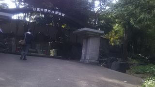  夏の時期は虫除けスプレーが必要です。