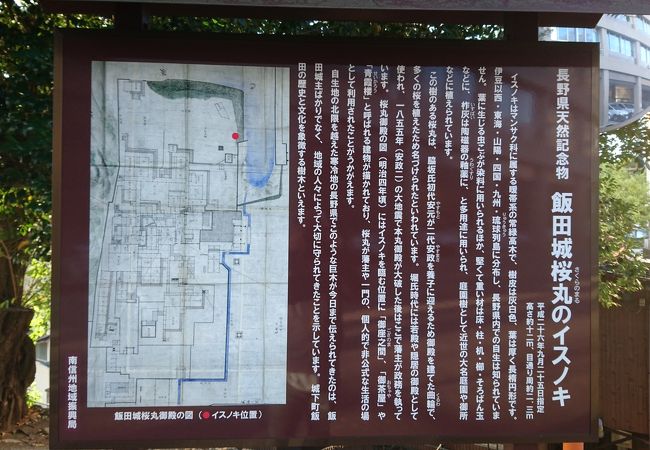 あちこちにある飯田城の史跡