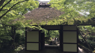 常寂光寺にありました