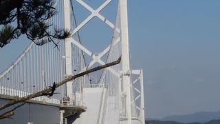 渦潮は特に迫力があります。