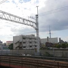 スカイツリー見えました