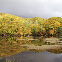 山容（紅葉）が湖面に映える　曲沢沼