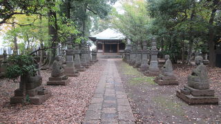 ミニ高野山奥の院が造られています