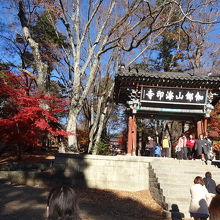 紅葉と山門