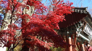 紅葉が見事な参道