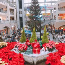 クリスマスツリー